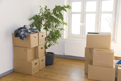 Careful van transport for local removals